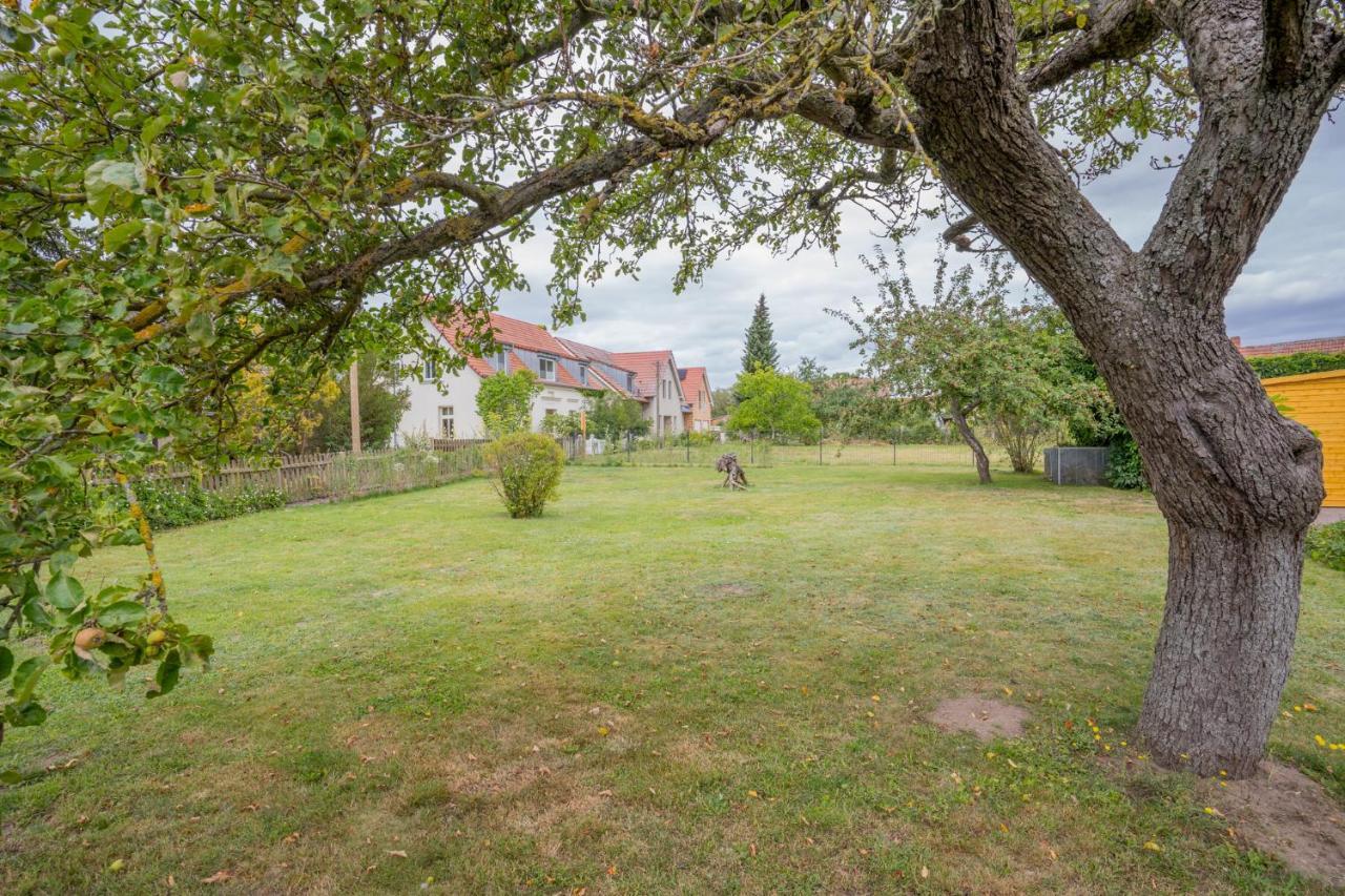 Ferienhaus "Seeadler" In Rankwitz Am Peenestrom Dış mekan fotoğraf