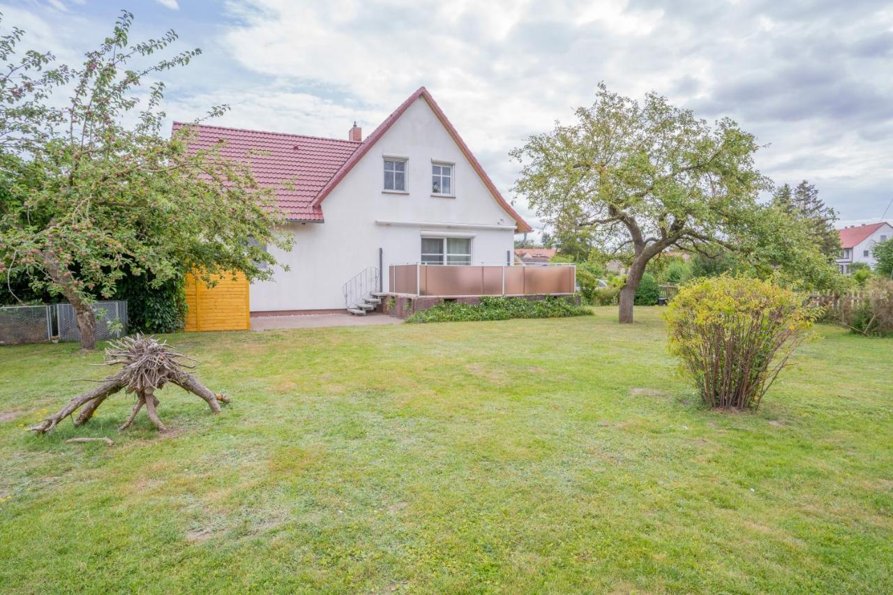 Ferienhaus "Seeadler" In Rankwitz Am Peenestrom Dış mekan fotoğraf